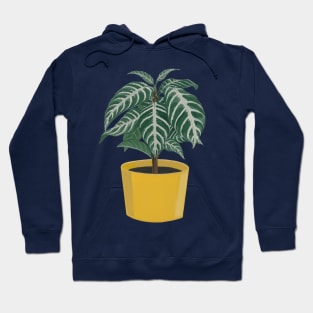 Zebra Plant with Mustard Pot Hoodie